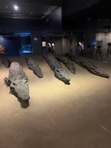 Sala dos Crocodilos